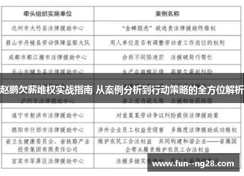 赵鹏欠薪维权实战指南 从案例分析到行动策略的全方位解析