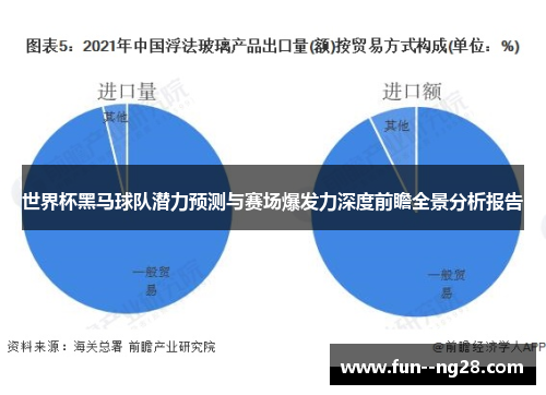 世界杯黑马球队潜力预测与赛场爆发力深度前瞻全景分析报告