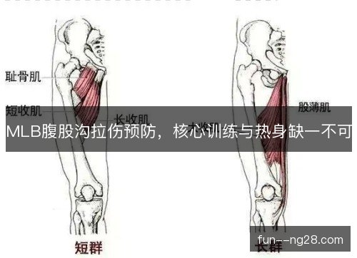 MLB腹股沟拉伤预防，核心训练与热身缺一不可